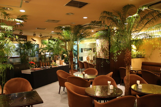 The Photo Of Interior Himalayan Moon Cafe Tabelog The Photo Of Interior Himalayan Moon Cafe Tabelog