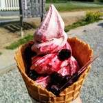 若松 田中農園 - プレミアムいちごバニラソフト　500円