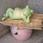 かえるcafe - お店のあっちこっちにカエルさんがいっぱい！
      
      ここのお店は、入り口で靴を脱いであがるんだよ。
      友だちのおうちに遊びに行ったみたいだね。