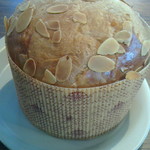 クリオロ - ブリオッシュ・オレンジ