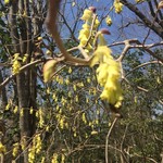 寿長生の郷 - 食後の散歩