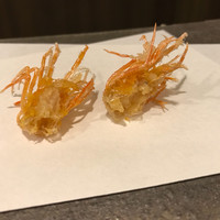 天白 - 