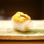 東麻布 天本 - アオリイカ（鹿児島）と赤うに（唐津）