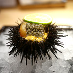 東麻布 天本 - うに＆キャビア＆牡丹海老