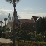 ANAインターコンチネンタル万座ビーチリゾート - ANA     OKA　コーラルヴィータチャペル