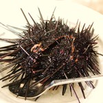 梅乃葉 - 黒ウニ   まだトゲトゲが動いてるよ(☼ Д ☼) 