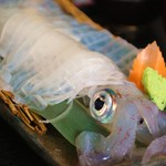 活イカ定食   イカちゃんと目が合うとドキッとしてしまう柚子です(｡-∀-｡)