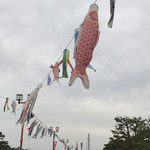 レストハウス浜寺 - 鯉のぼりたくさん！