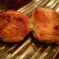 鳥ばか一代 - 