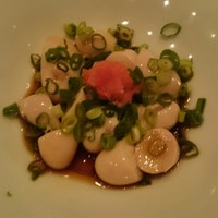 鳥ばか一代 - 