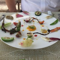 インカメラ コン テラッツァ - 