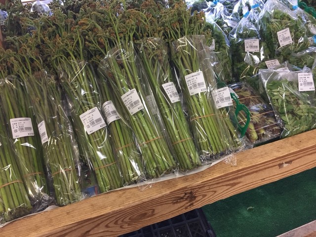 yuusuinosatoshioyanousambutsuchokubaijo - 鬼怒川温泉栗山/其他