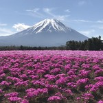 湖麺屋 リールカフェ - 直前に行った富士芝桜祭り