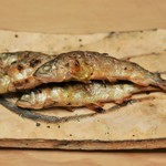 緒方 - 稚鮎（琵琶湖産）