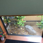 なまずや - 小上がりからは小庭が見えますよ