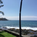 Daylight Mind Coffee Company - 