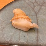 飛 - バイ貝の握り