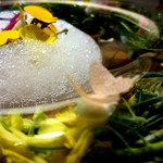 セララバアド - 春の高原