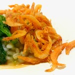 セララバアド - 桜海老 海藻 うど