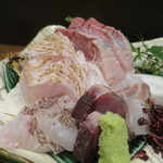 零 - ワラサ、スズキ、鰹のたたき、真鯛の松皮造り、メジナ炙りアップ