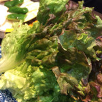 高麗 - サニーレタス巻き喰い仕様(^_^;)