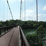 手打ちうどん　はるや - 江汐公園は、「ミツバヤマツツジ」という花の名所なのだ。