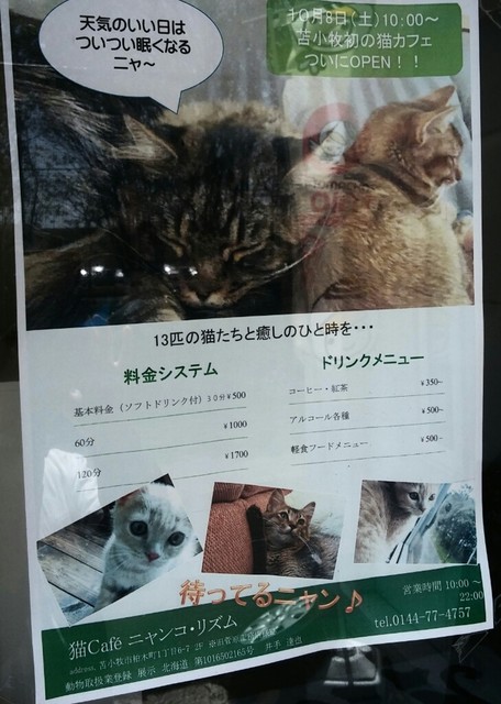 メニュー写真 猫カフェ ニャンコ リズム 糸井 その他 食べログ