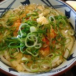 Marugame Seimen - かけうどん(天かす、ネギもりもり)