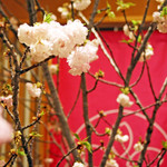 銀座 すし四季 - 