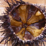 あけみちゃん号 - 殻付うに