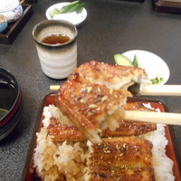 満寿家 - うなぎをぱくり