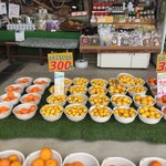 みかん問屋(有)石澤商店 - カゴに入ってるB級品は全て300円！ 
            
            家で食べるには充分です！