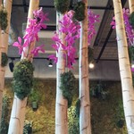 Nicolai Bergmann NOMU - 