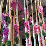 Nicolai Bergmann NOMU - 