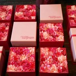 Nicolai Bergmann NOMU - 