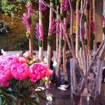 Nicolai Bergmann NOMU - 