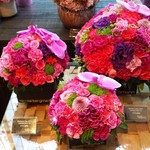 Nicolai Bergmann NOMU - 