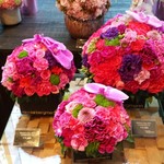 Nicolai Bergmann NOMU - 