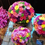 Nicolai Bergmann NOMU - 