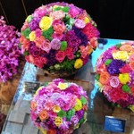 Nicolai Bergmann NOMU - 