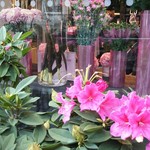 Nicolai Bergmann NOMU - 