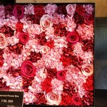 Nicolai Bergmann NOMU - 