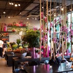 Nicolai Bergmann NOMU - 