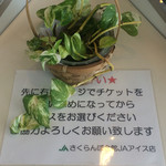 チェリーランドさがえ - 