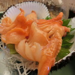 鮨　しらはた - ”閖上”の赤貝～最高の時季、最高の旨味