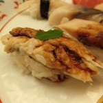 鮨　しらはた - 『しらはた・おまかせにぎり』穴子