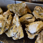 炉端と天ぷら屋台 さくら亭 - 店内。牡蠣。食べたい。