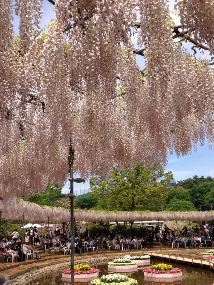 ニューデイズ 栃木店 name=