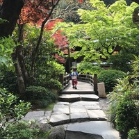うかい鳥山 - 