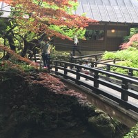 うかい鳥山 - 